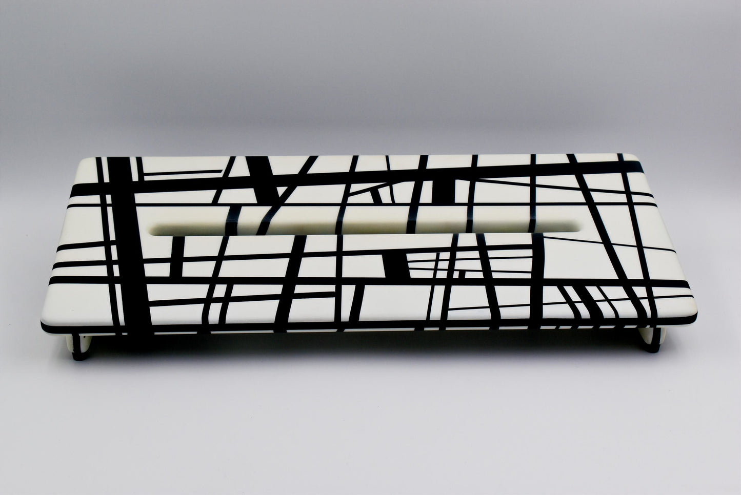 Wide Slanted White and Black Striped