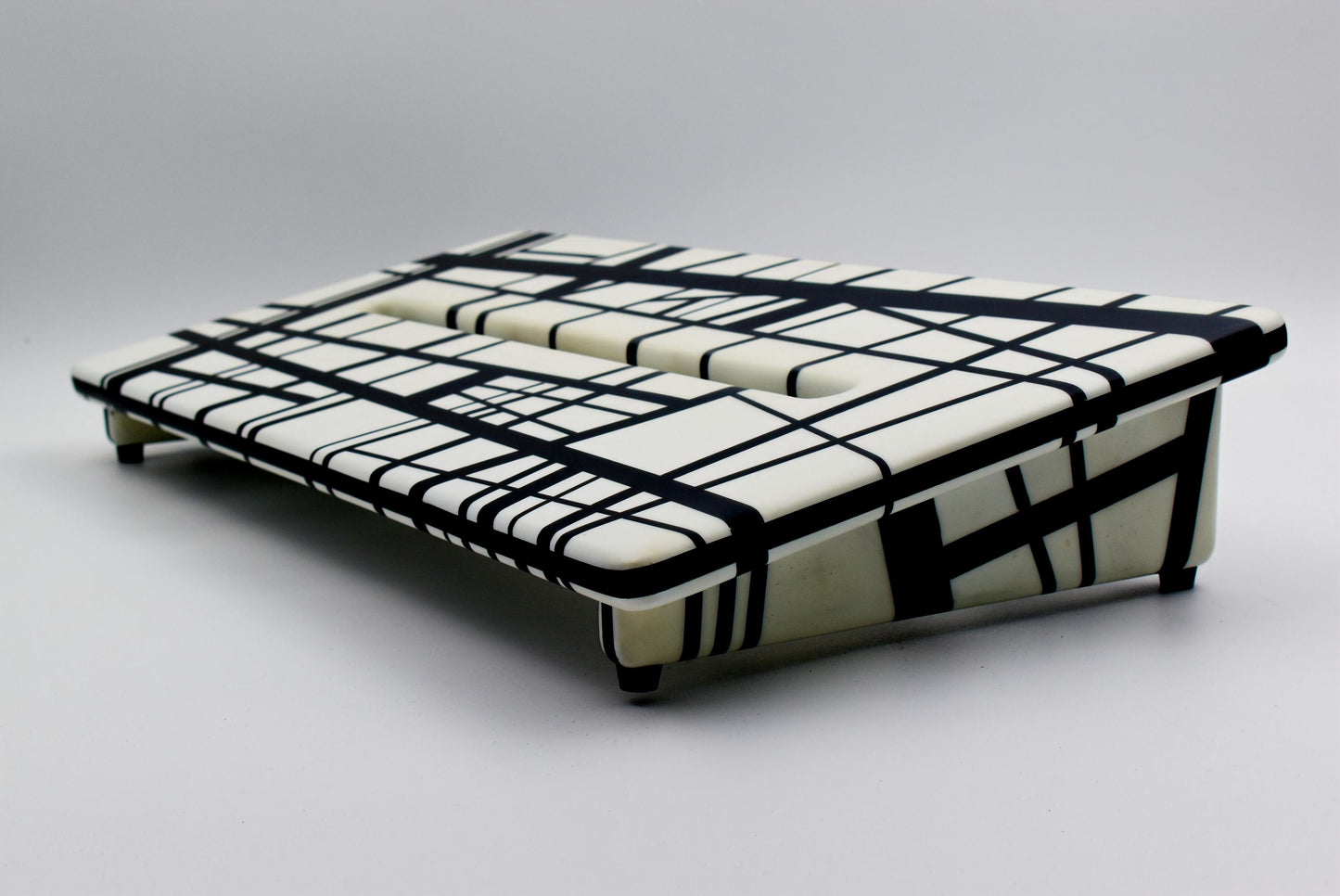 Wide Slanted White and Black Striped